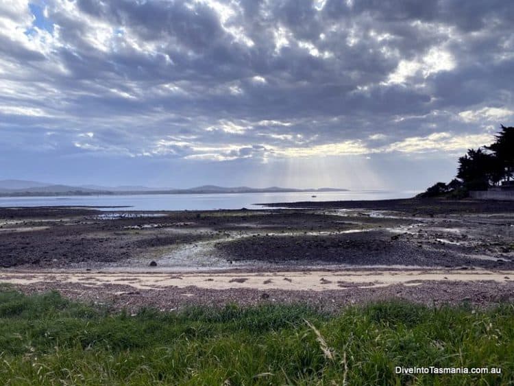 Low Head, Tasmania Everything You Need To Know