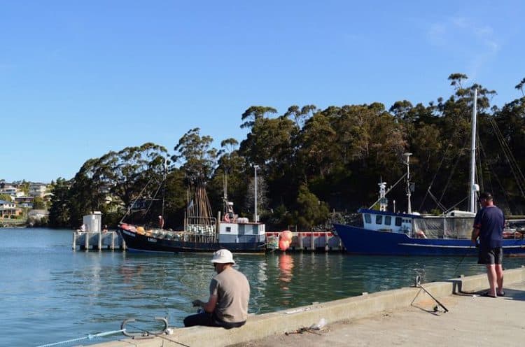 Top 11 Fun Things To Do In St Helens Tasmania!