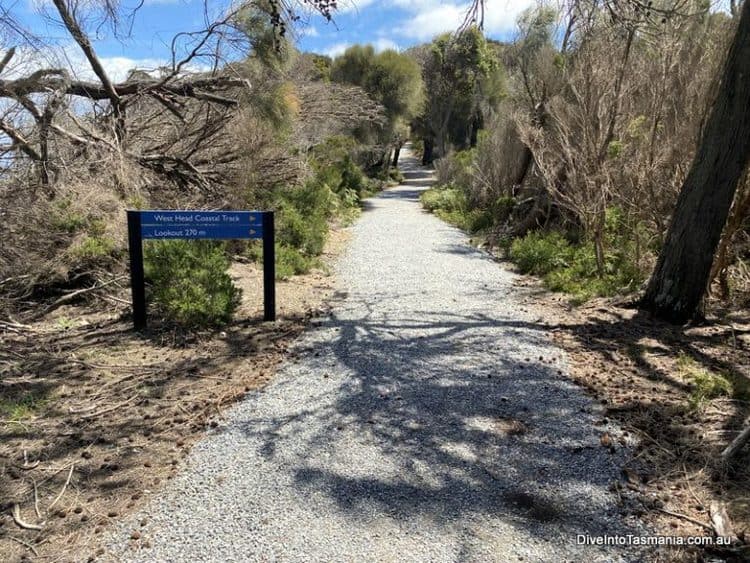 Kelso Tasmania Attractions, And More