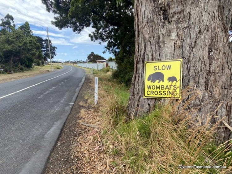 Kelso Tasmania Attractions, And More